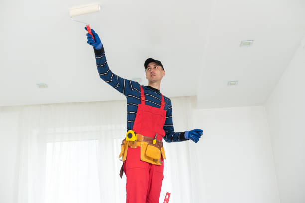 Best Drywall Removal and Disposal  in USA